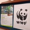 forumwwf8