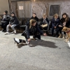 Il fucarone di Sant'Antuono  -17/1/2026-