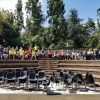 img_20190602_110036