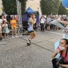 img_20220604_194430