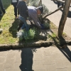 img_20240413_101156_1